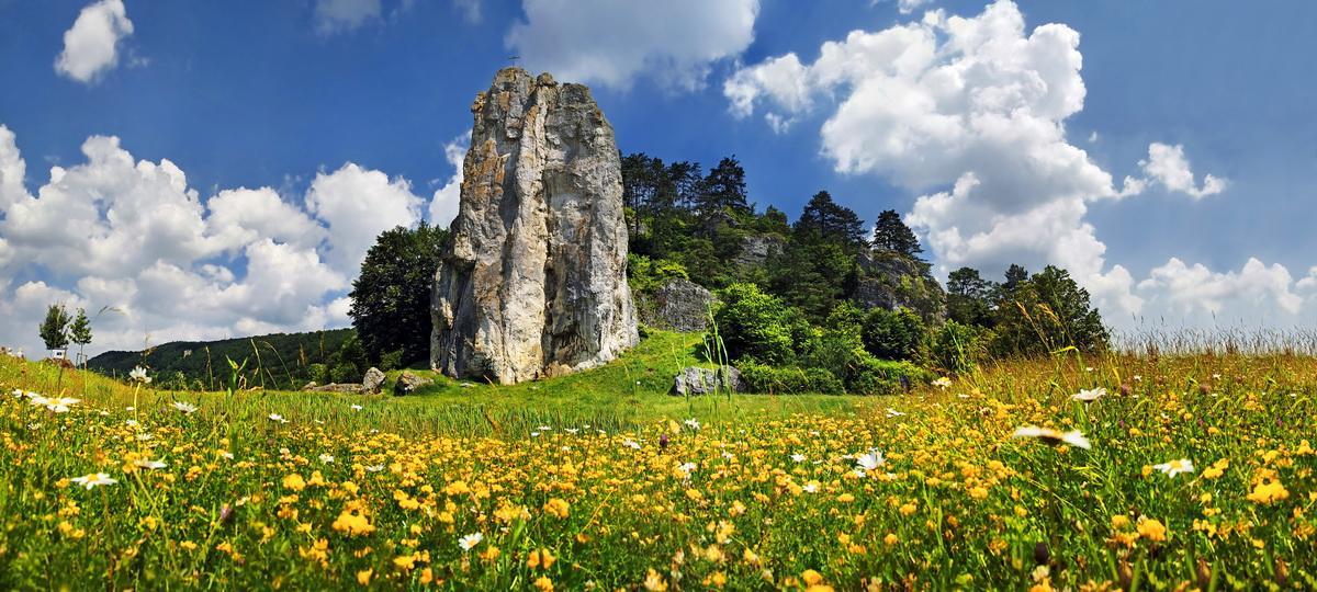 Hotel-Gasthof Zur Sonne パッペンハイム エクステリア 写真
